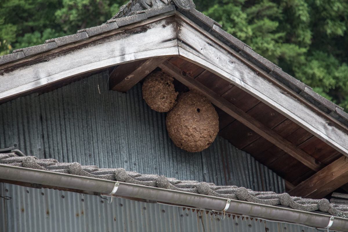 蜂の巣の駆除や草刈りなど屋外作業も安心してお任せください